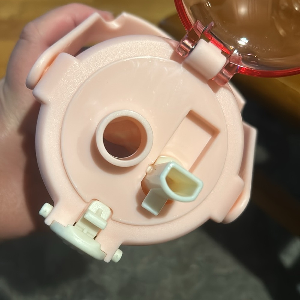 New My Melody Water Bottle - Picture 5 of 8